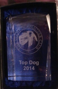 Rufus Top Dog 2014