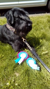 A Proud Eddie with his Rosettes