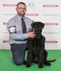 Kirk and Purdey Crufts 2017