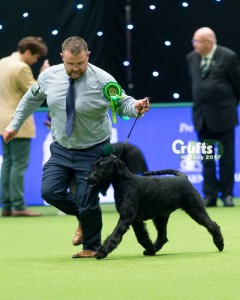 Purdey Crufts Working Group