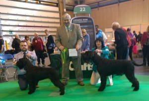 Crufts 2017