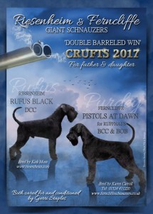 Crufts Advert