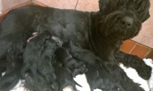 Nadia--proud Mum!!!!