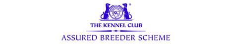 Kennel Club Assured Breeder Scheme