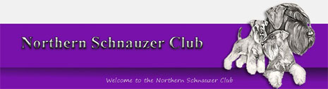 Northern Schnauzer club