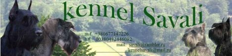 Kennel Savali
